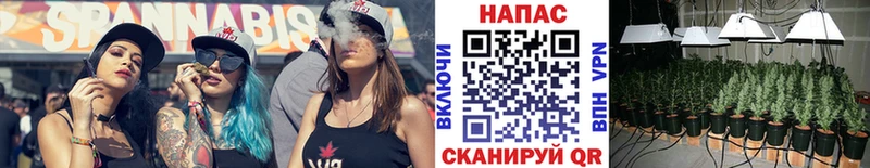 Купить где  Щёкино  Канабис семена 